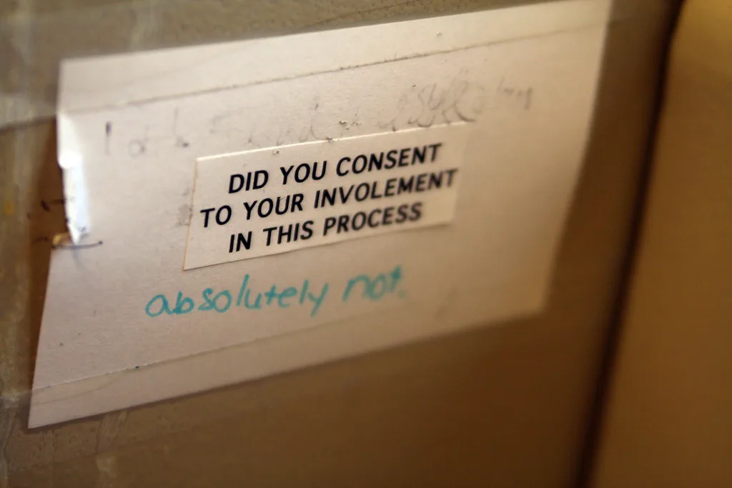 Text states "Did you consent to your involvement in this process? absolutely not"